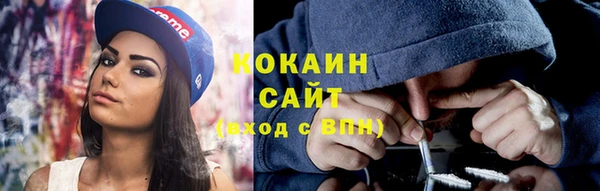 стафф Бородино