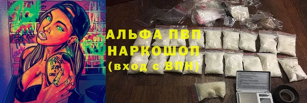 эйфоретик Богданович