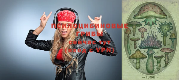 стафф Бородино