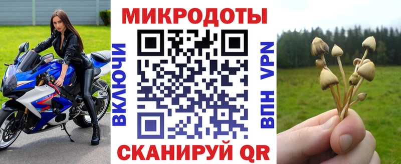 KRAKEN ссылка Нальчик Галлюциногенные грибы Cubensis